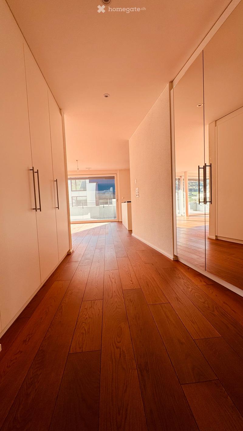 Modern hallway with wooden flooring, white walls, and recessed lighting. Features glass doors leading to outdoor areas and built-in storage units on one side.