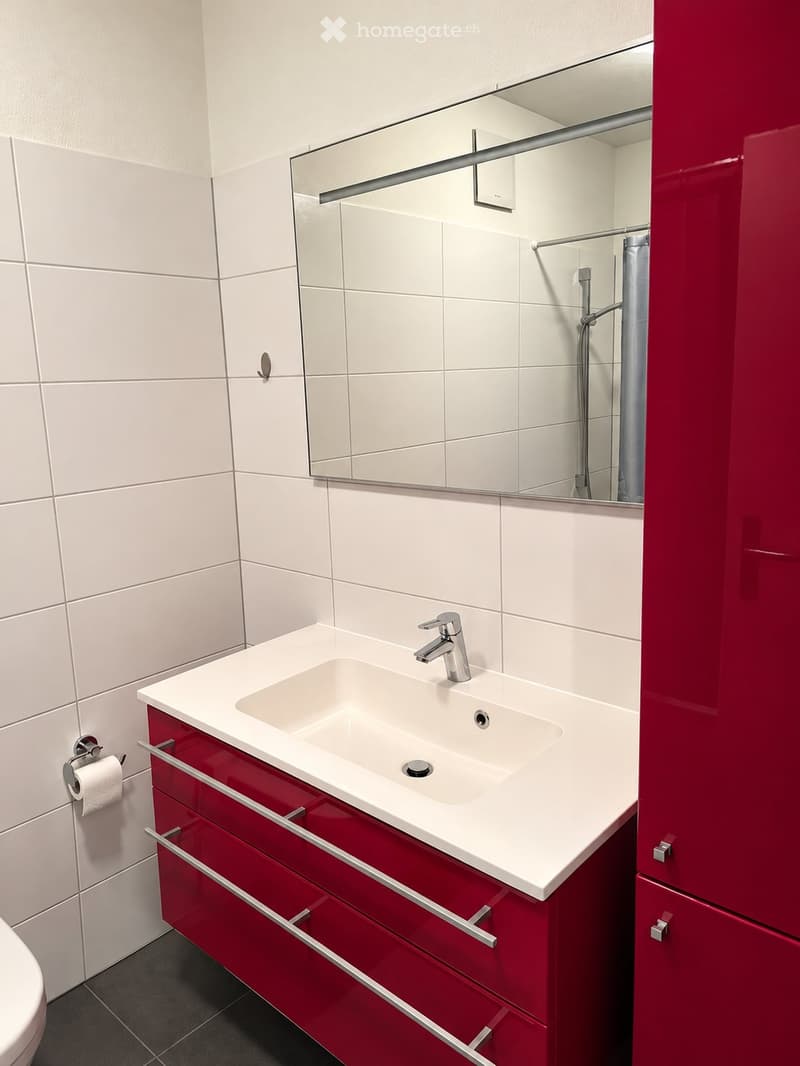Modern bathroom with white tiles, red cabinetry, a white sink with a chrome faucet, and a large mirror above the sink.