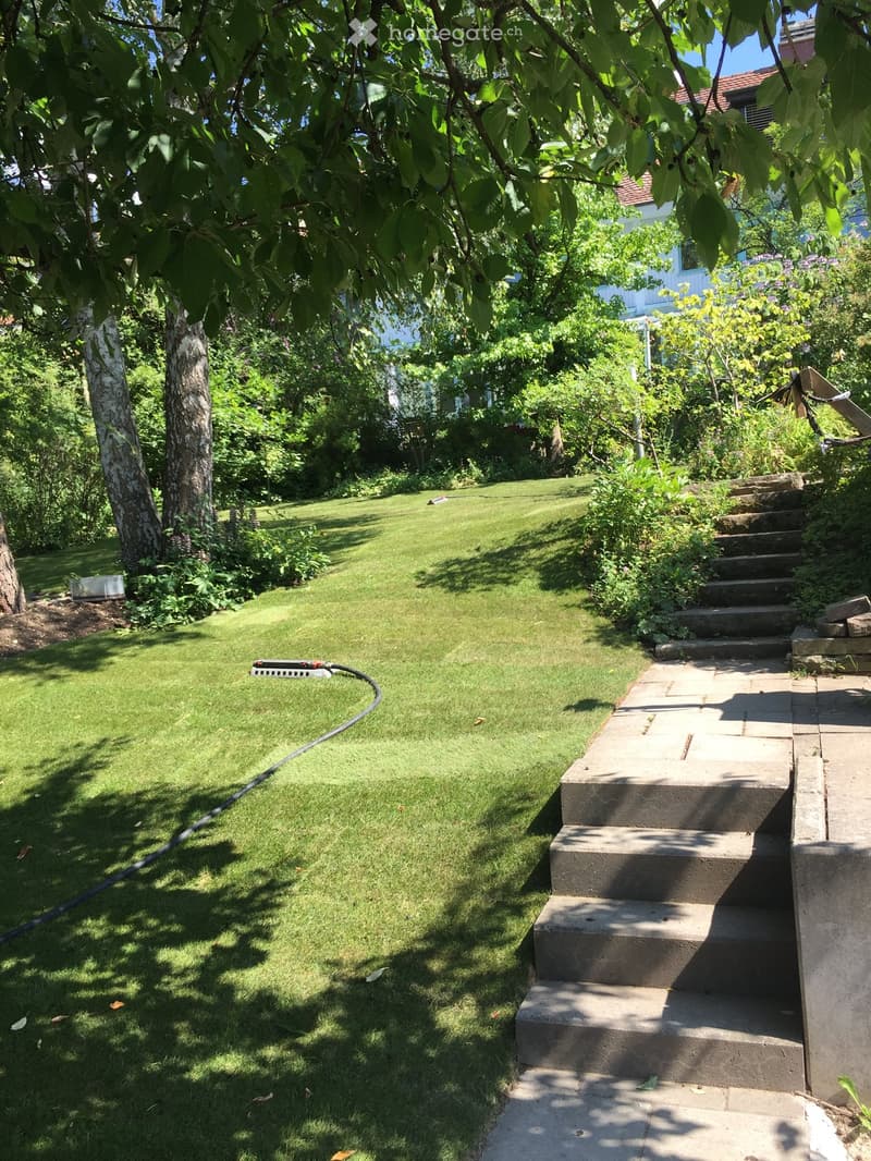 Well-maintained garden with a green lawn, trees, shrubs, and a concrete staircase leading up to a house.