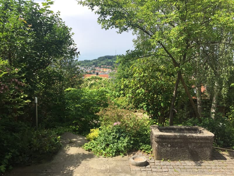 A lush garden with a stone well, surrounded by trees and shrubs, with a paved pathway leading to a scenic view of a town in the distance.
