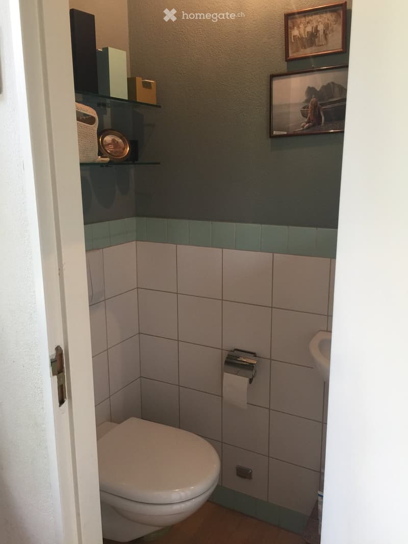 Small bathroom with white toilet, sink, and tiled walls. Shelves hold decorative items and a framed picture is on the wall.
