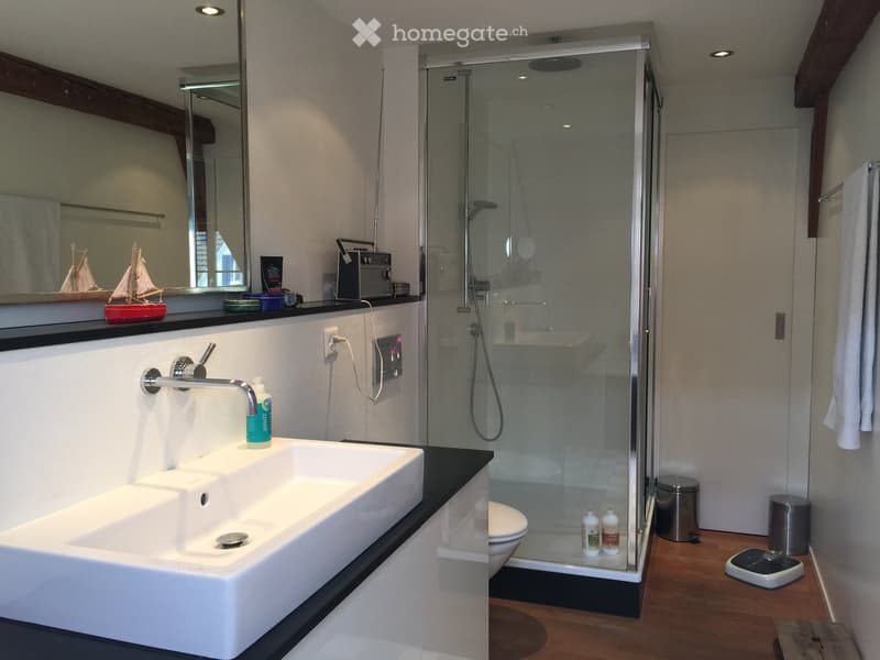Modern bathroom with a large sink, mirror, glass-enclosed shower, and a toilet. Features include a sleek faucet, decorative items on the sink counter, and a towel hanging on the side.