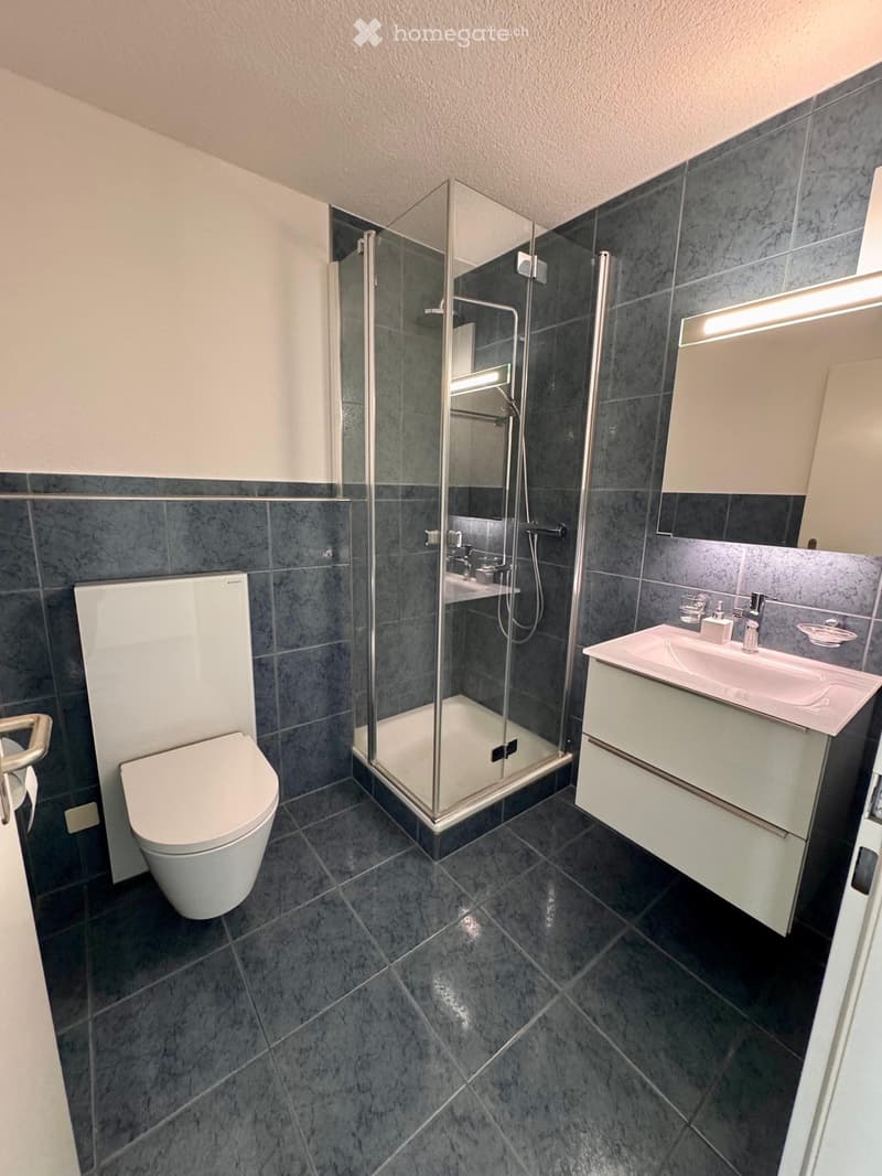 Modern bathroom with dark grey tiles, white toilet, sink with mirror, and glass-enclosed shower.