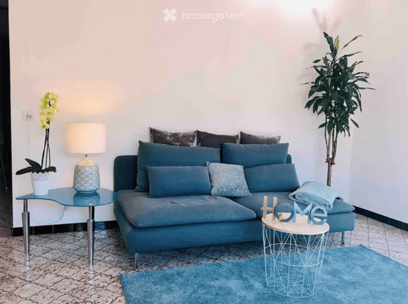 Modern living room with a blue sofa, multiple cushions, a coffee table, side table, floor lamp, and potted plants.