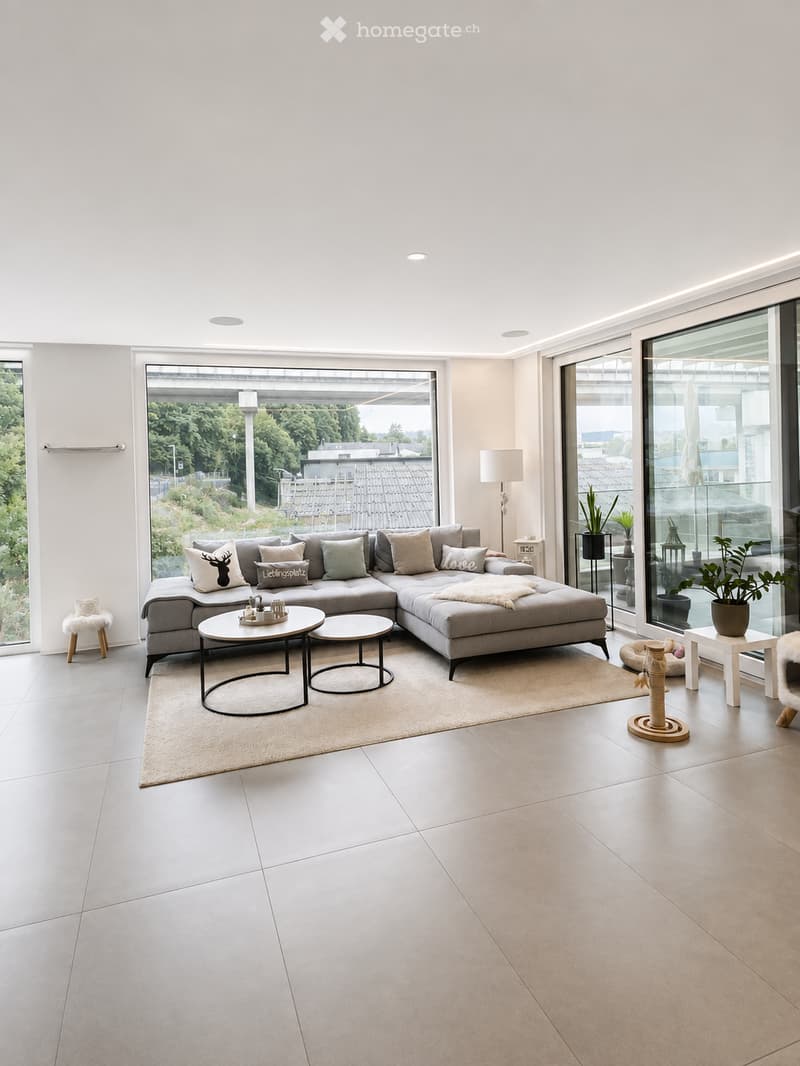 Modern living room with large windows, grey sectional sofa, coffee table, side tables, floor lamp, potted plants, and a cat tree.