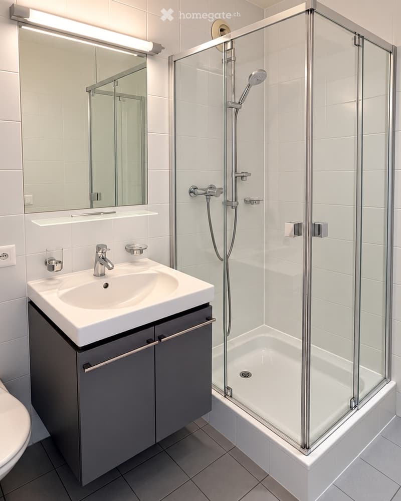 Modern bathroom with white tiles, a glass-enclosed shower, a white sink with a chrome faucet, a mirrored cabinet, and a dark grey cabinet under the sink.