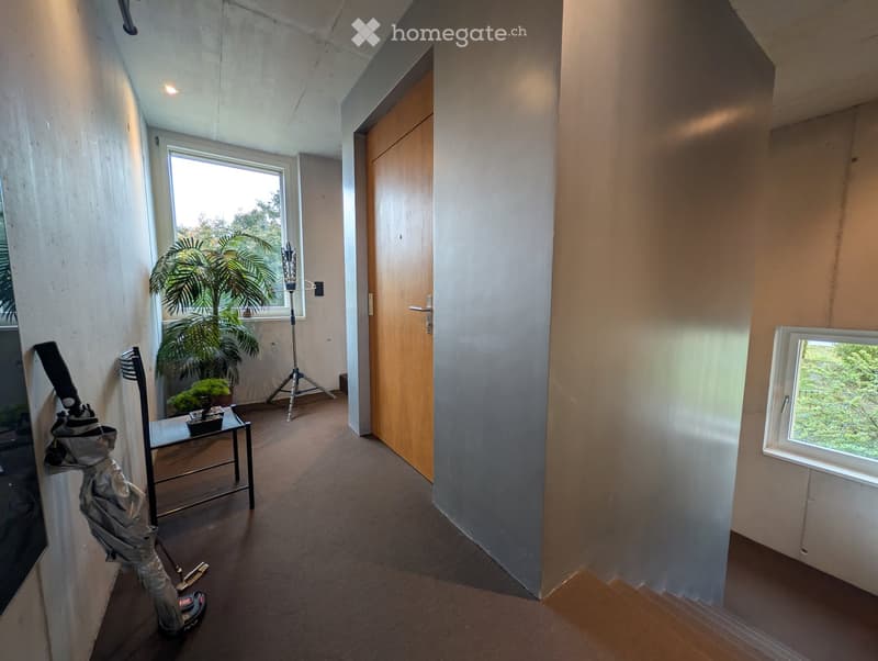 A modern hallway with carpeted floor, large windows, a small table with potted plants, and a tripod near the window.