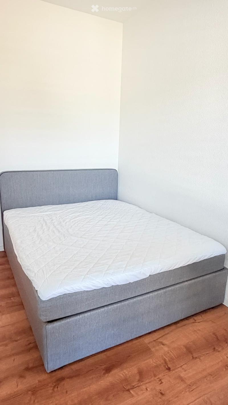 A single bed with a grey headboard and white quilt placed against a white wall on a wooden floor.