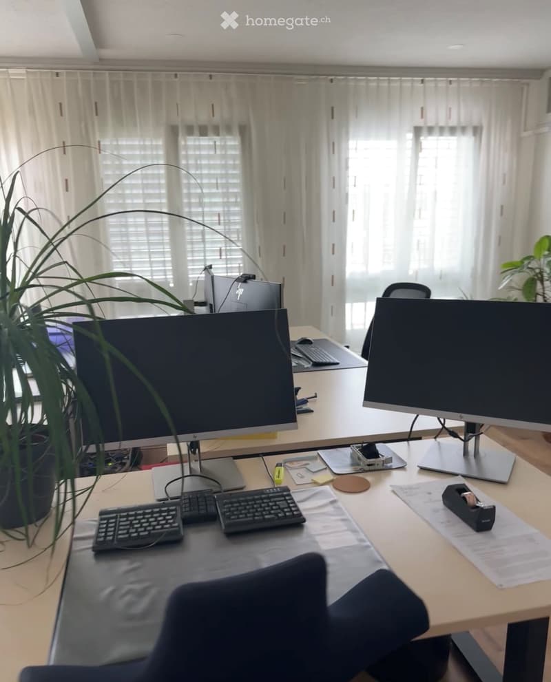 Office space with a large desk, two computer monitors, keyboards, a chair, and a potted plant near the window.