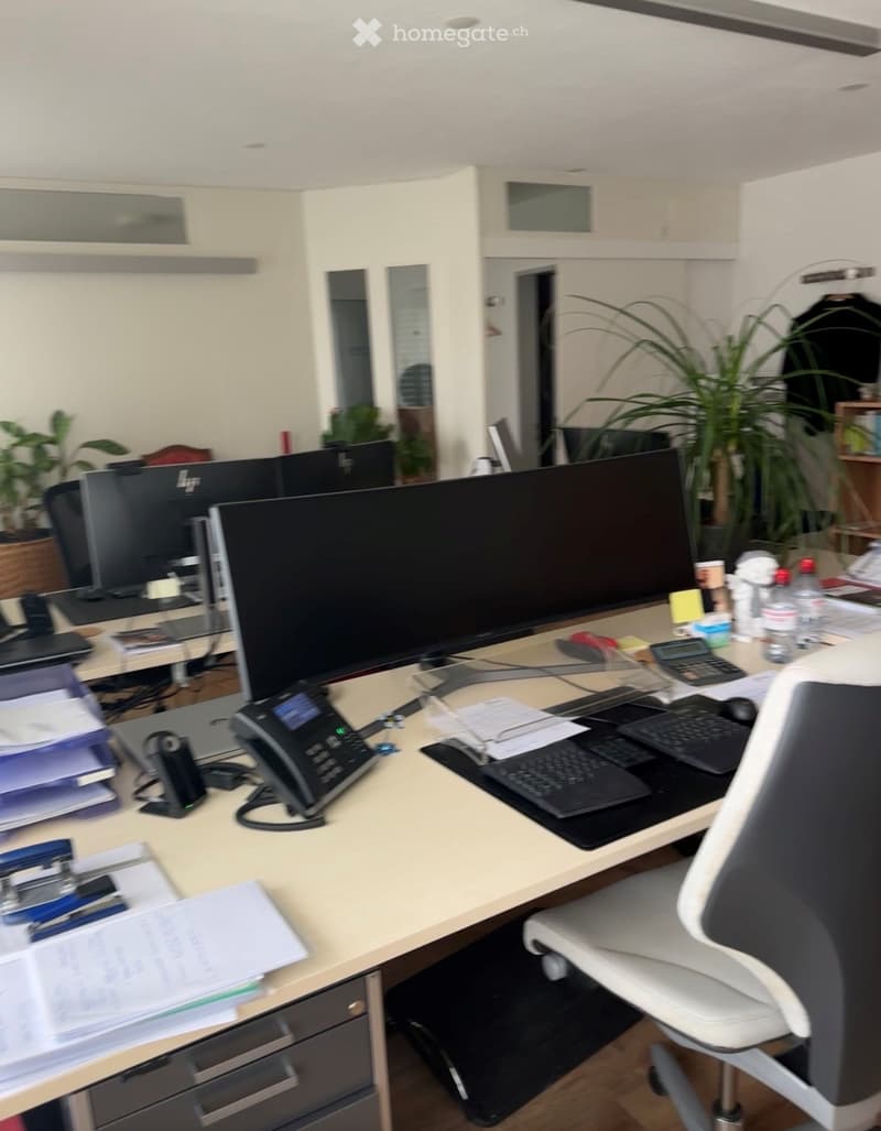 Office space with a large desk, computer setup, office chair, telephone, and plants in the background.