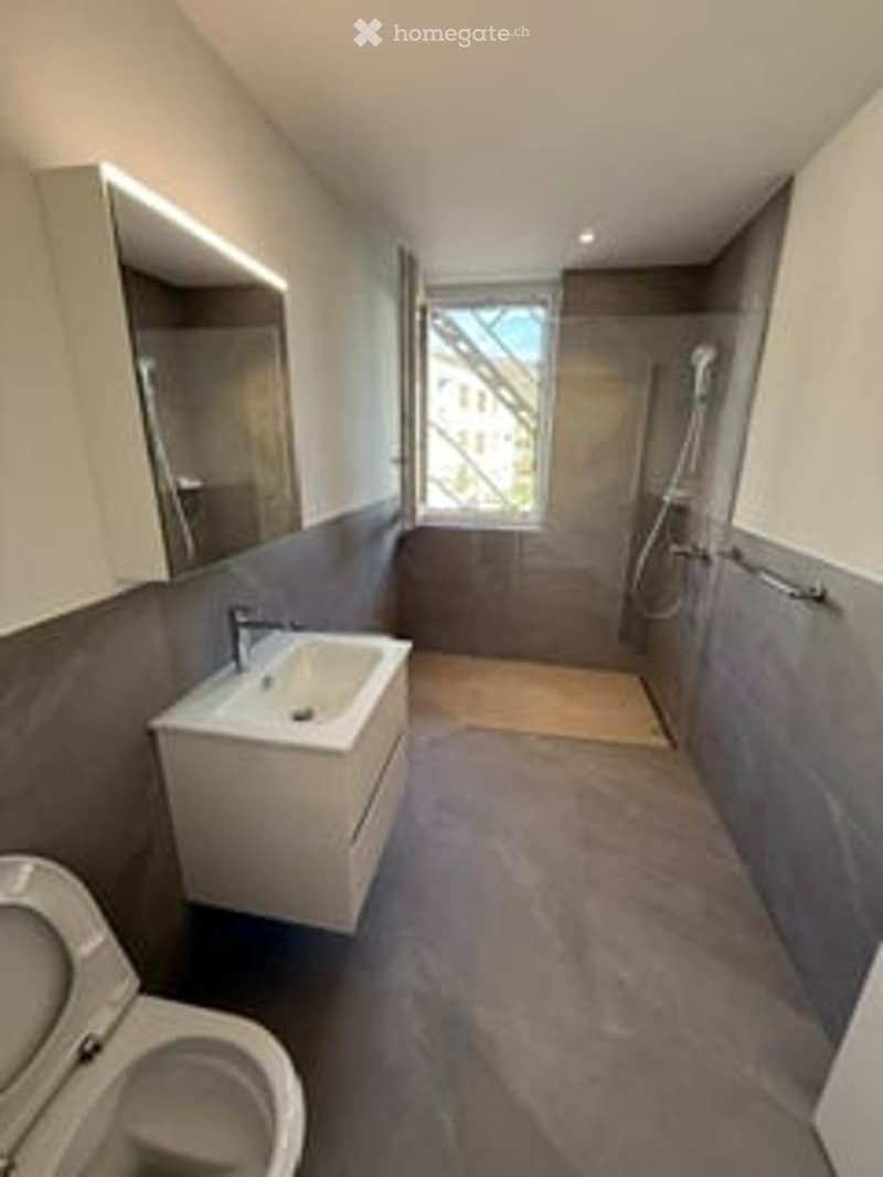 Modern bathroom with a white sink, toilet, large mirror, and a walk-in shower area. The walls are grey with a sleek, contemporary design.