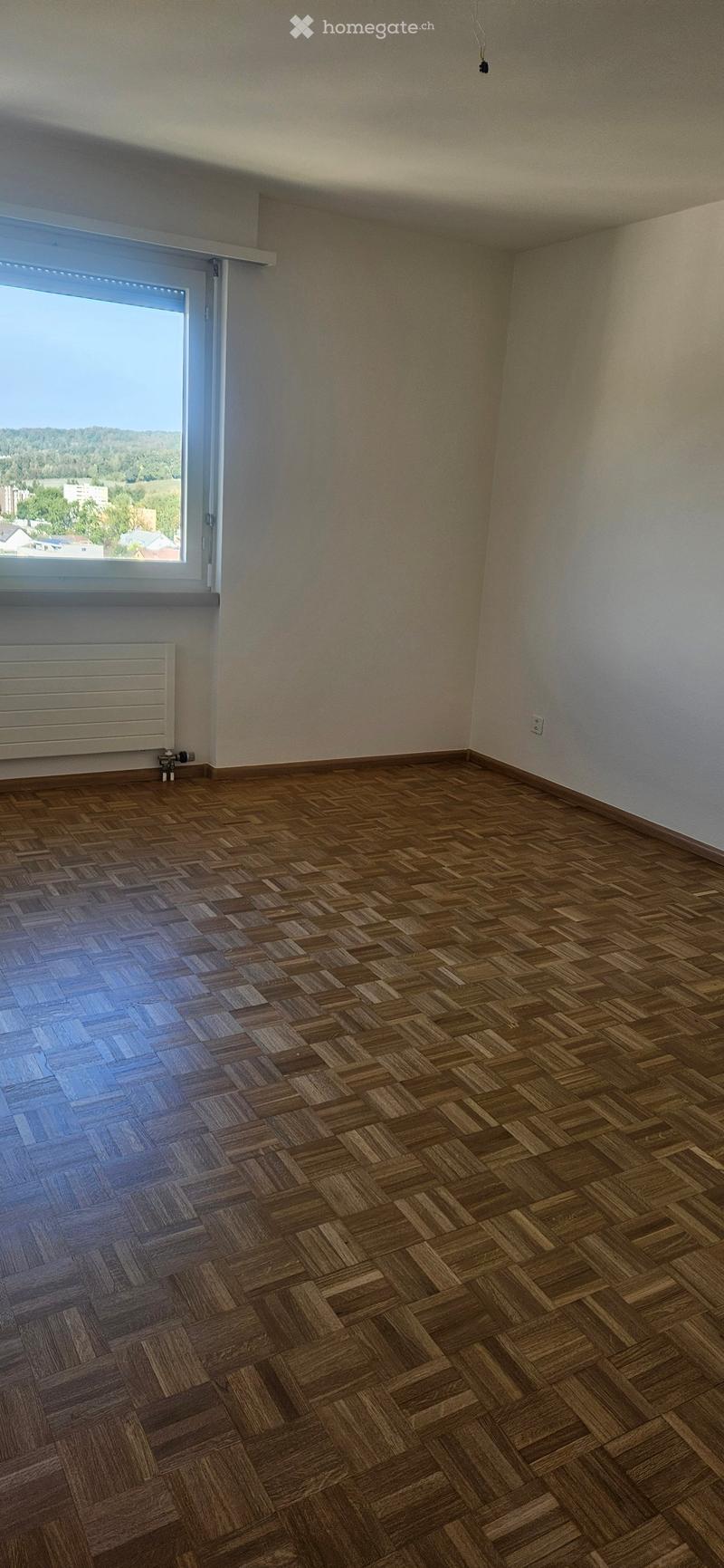 Empty room with wooden herringbone flooring, white walls, large window with view, radiator, and electrical outlet.