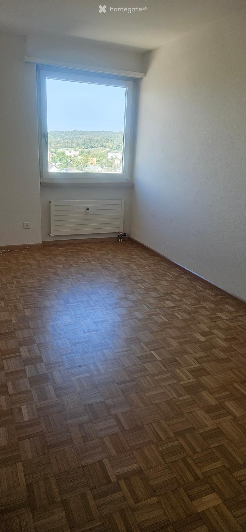 Empty room with wooden herringbone flooring, white walls, large window with view, radiator, and electrical outlet.