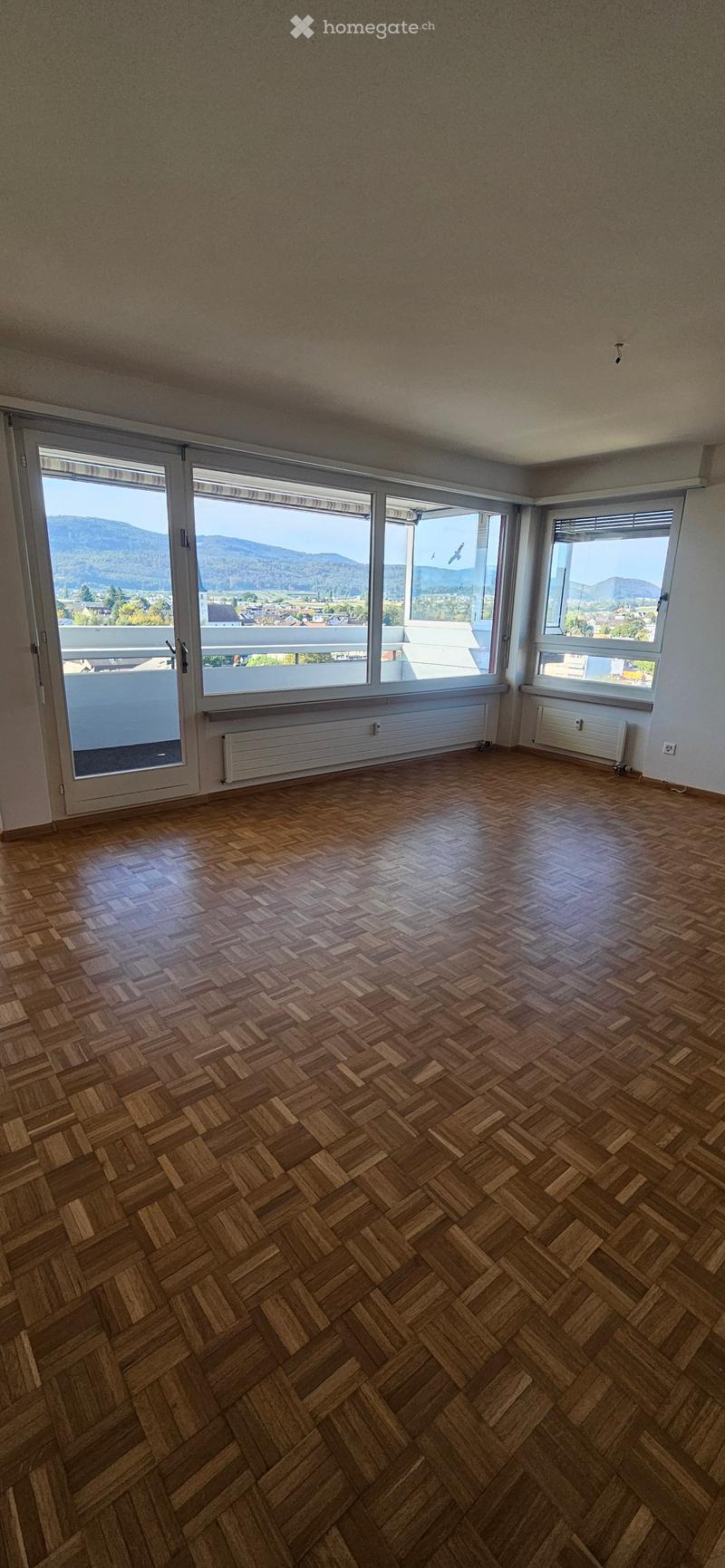 Empty room with wooden herringbone flooring, large windows offering a scenic mountain view, and white radiator heating units.