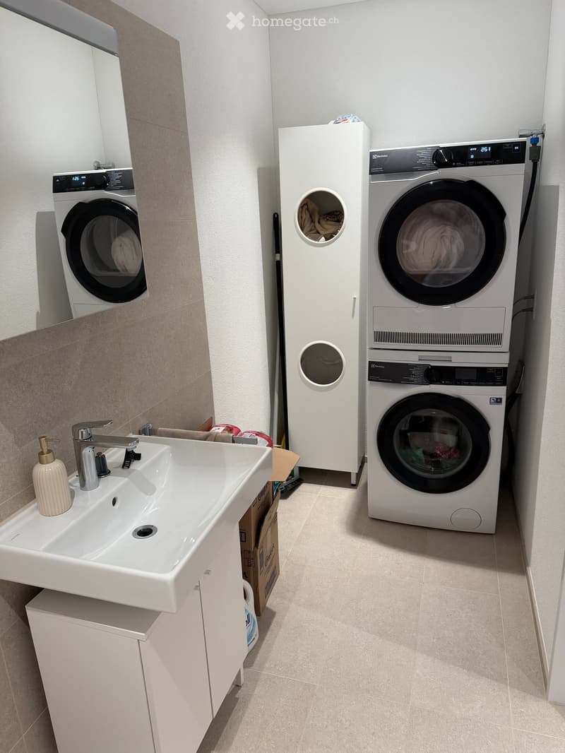 Modern bathroom with a white sink, faucet, soap dispenser, and a stacked washer and dryer unit.