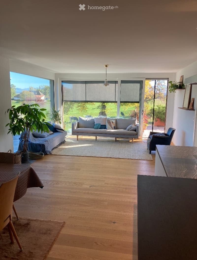 Bright living room with large windows, wooden flooring, a grey sofa, a single armchair, a dining table, and a potted plant near the window.
