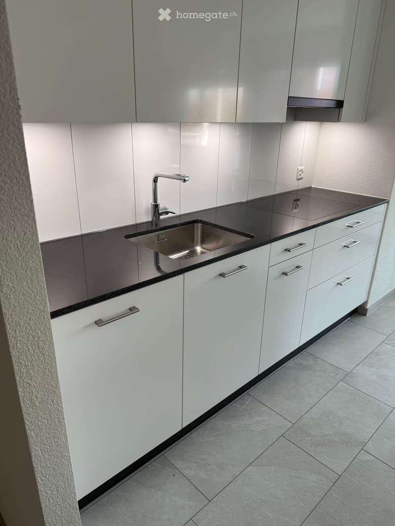 Modern kitchen with white cabinets, stainless steel sink, and countertop.