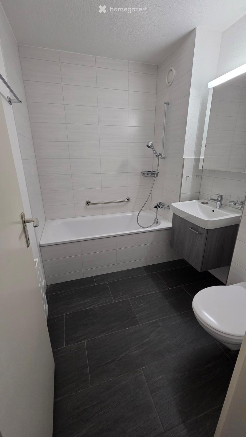 Modern bathroom with dark tiled floor, white bathtub, toilet, sink, and mirror. Features a handheld showerhead and a built-in shelf.