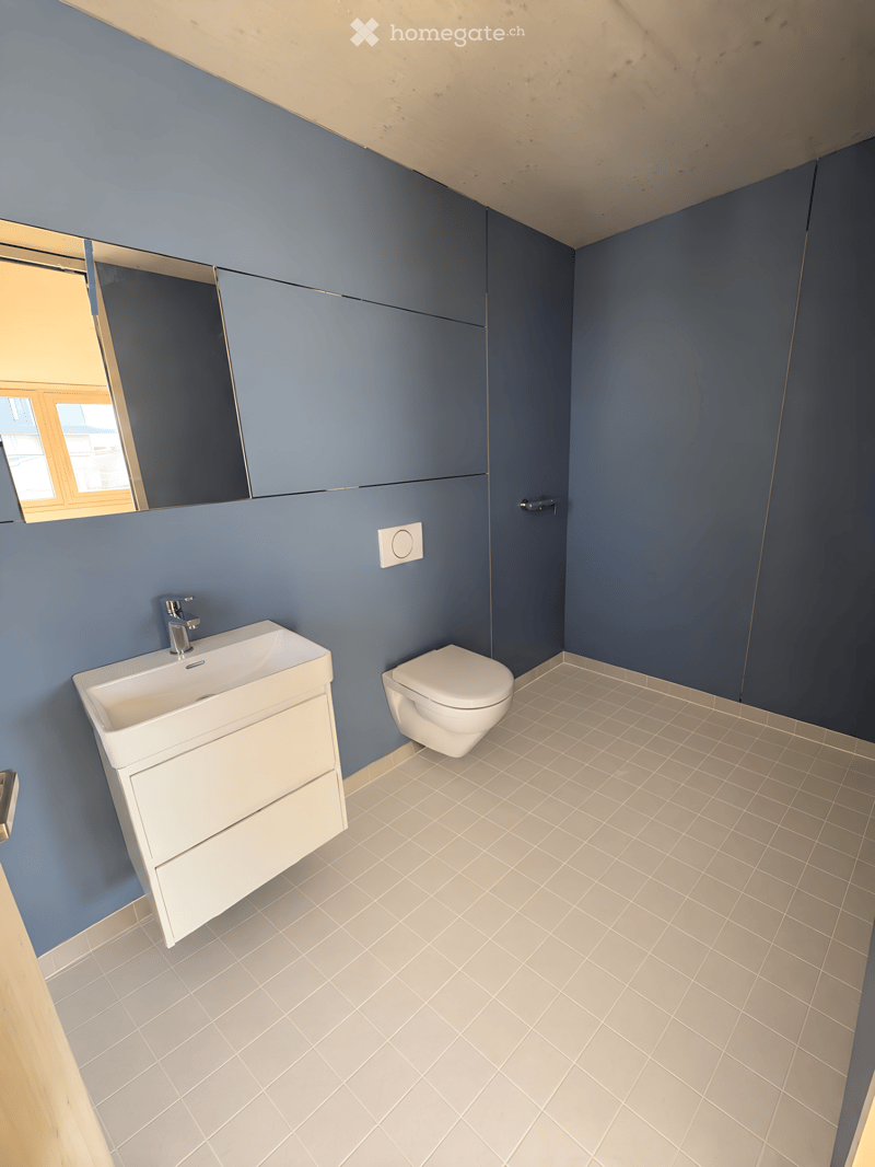 Modern bathroom with blue walls, white sink, toilet, and a large mirror above the sink. The floor is tiled with light grey tiles.