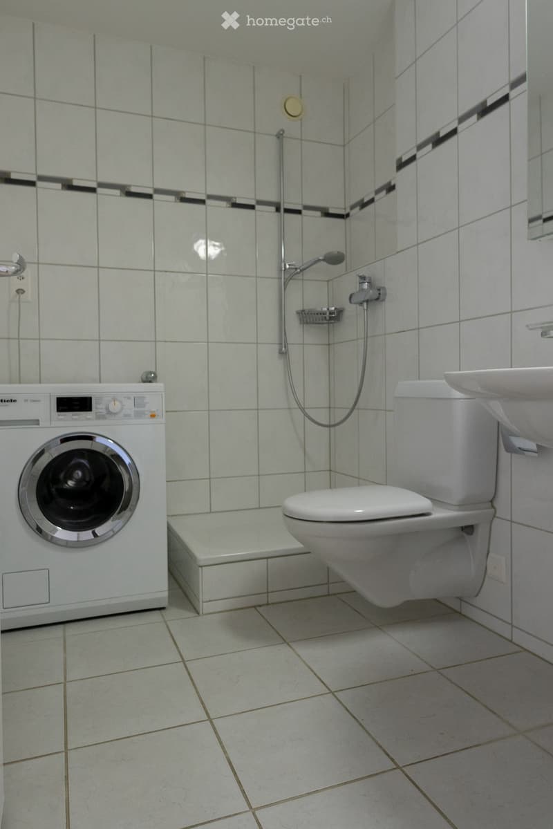 Bathroom with a toilet, sink, washing machine, and a shower area with tiled walls and floor.