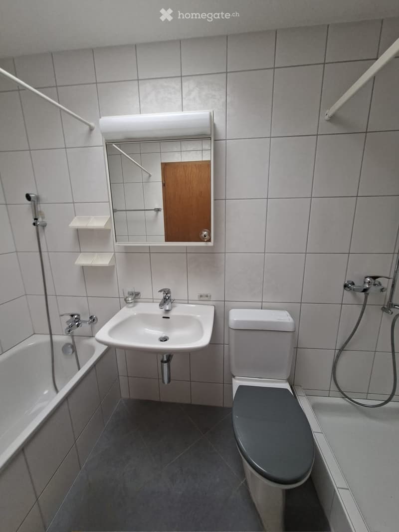 Modern bathroom with a white sink, toilet, bathtub, and mirror. Grey tiled walls and dark grey floor.