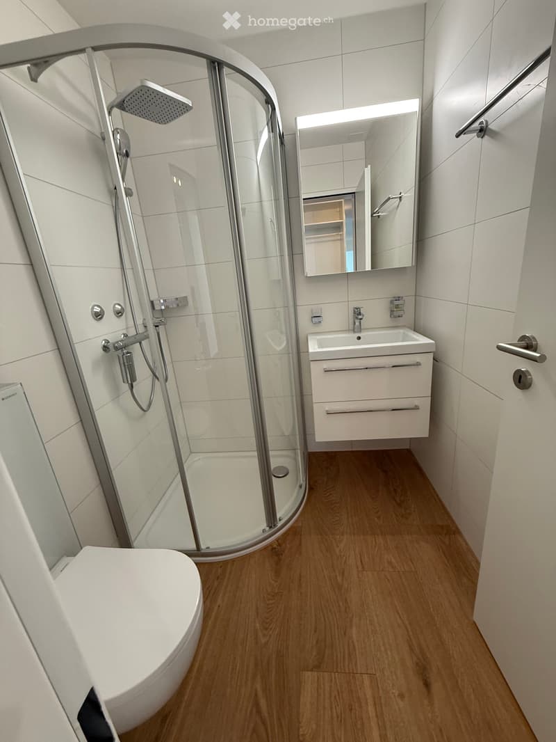 Modern bathroom with white tiles, wooden flooring, a toilet, a sink with a cabinet, a glass-enclosed shower, and a mirror above the sink.