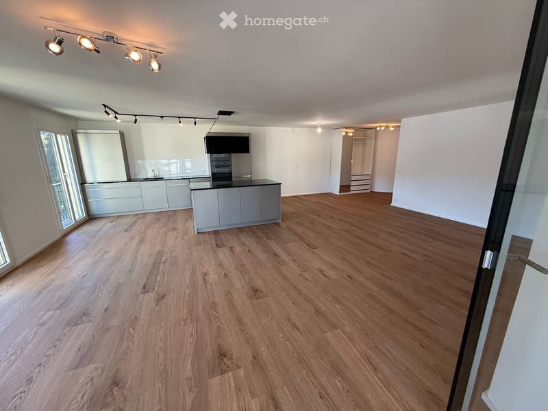 Open-plan living and kitchen area with light grey cabinets, wooden flooring, and modern lighting fixtures.