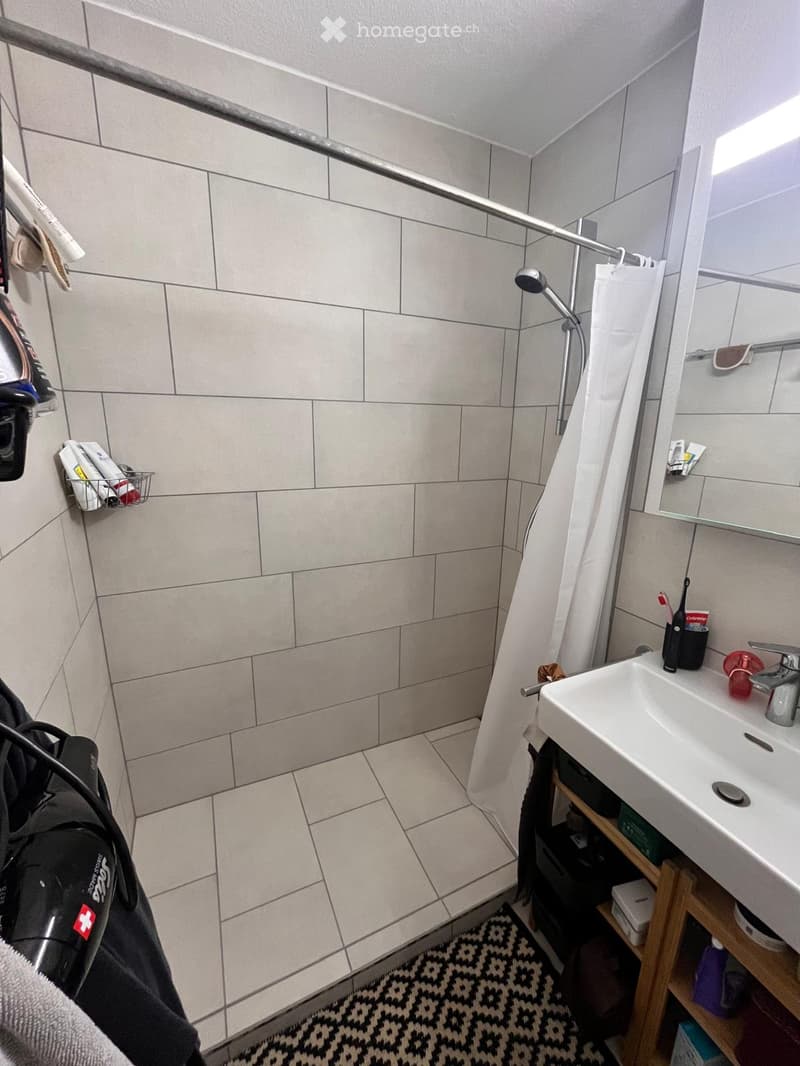 Charmante 2-Zimmerwohnung in Schlieren (10)