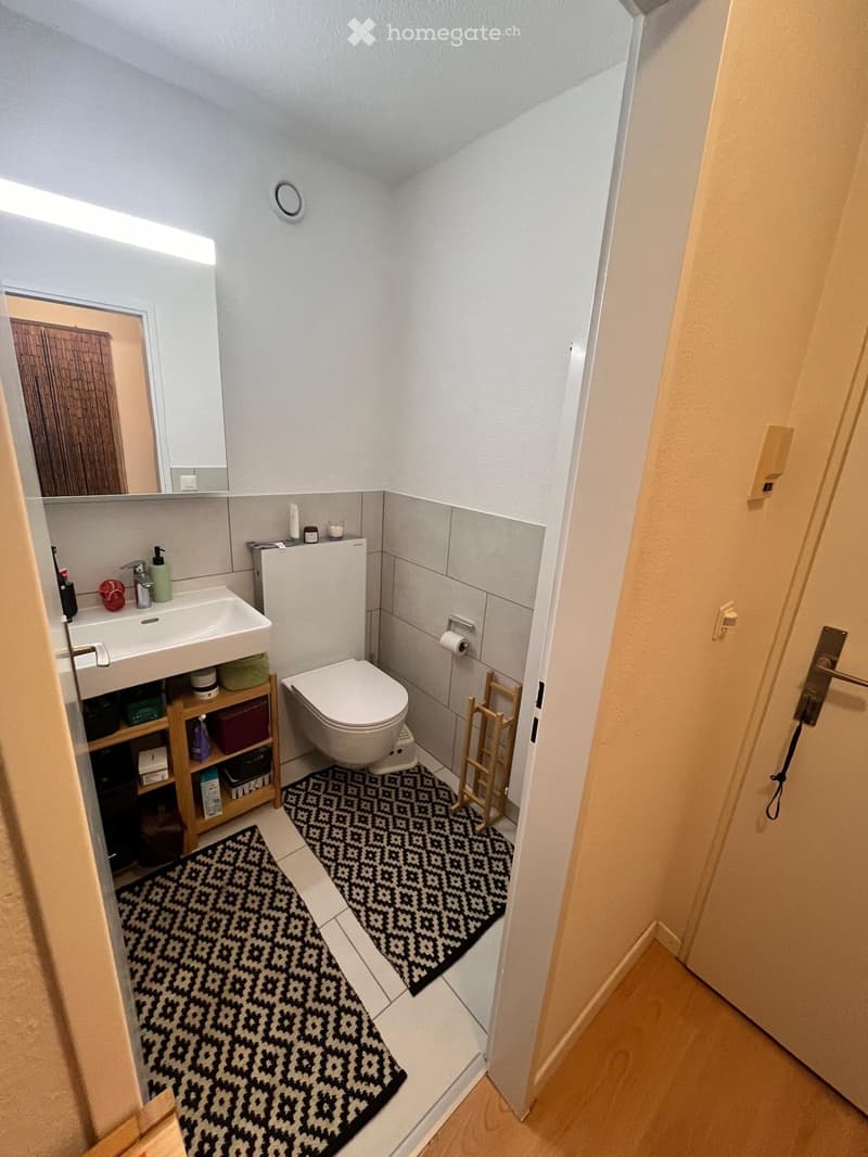 Charmante 2-Zimmerwohnung in Schlieren (9)