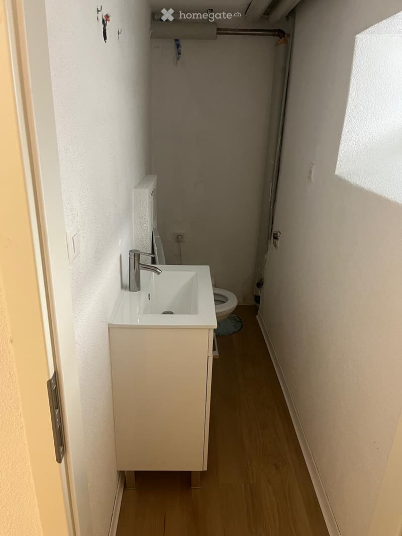 small bathroom with sink, toilet, and wooden floor