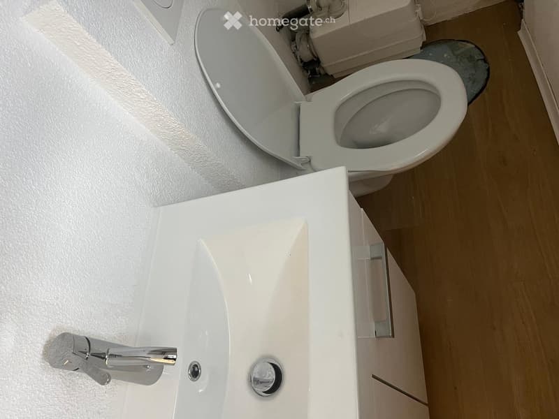 Bathroom with white sink, white toilet, silver faucet, wooden floor