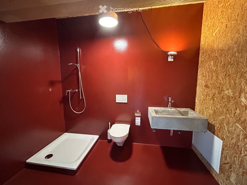 Modern bathroom with red walls and matching red floor, featuring a bathtub, toilet, sink, and a shower hose.