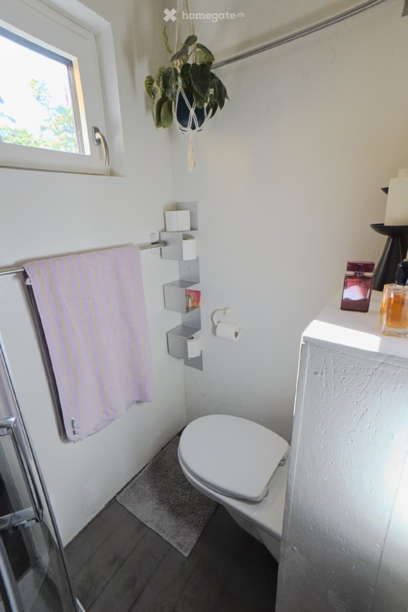 Modern bathroom with white toilet, towel, toilet paper, shelf, perfume bottle, and a hanging plant.