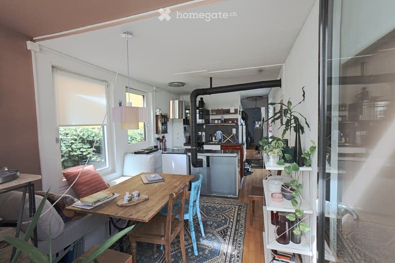 A modern, open-concept living and dining area with a sofa, wooden dining table, chairs, and kitchen appliances visible in the background. The space features large windows, a hanging light fixture, and decorative plants.
