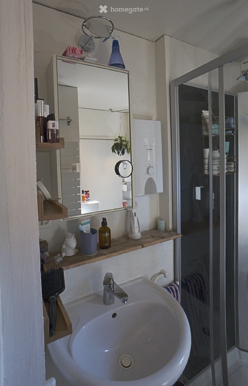 Modern bathroom with a white sink, mirror, shelves holding toiletries, and a small plant. A glass shower enclosure is visible in the background.
