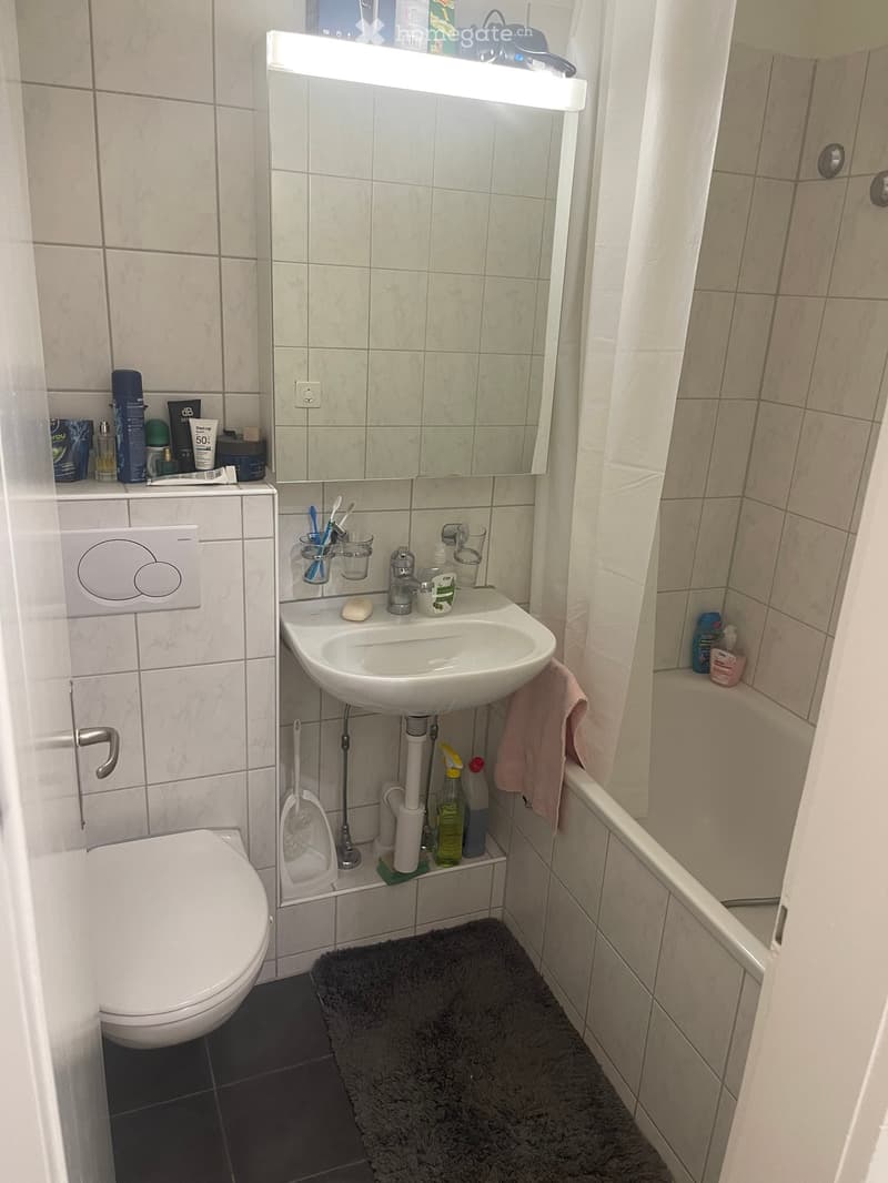 Compact bathroom with a toilet, sink, mirror, toothbrush holder, and cleaning supplies. Features a tiled wall, a small rug, and a towel hanging on the side.