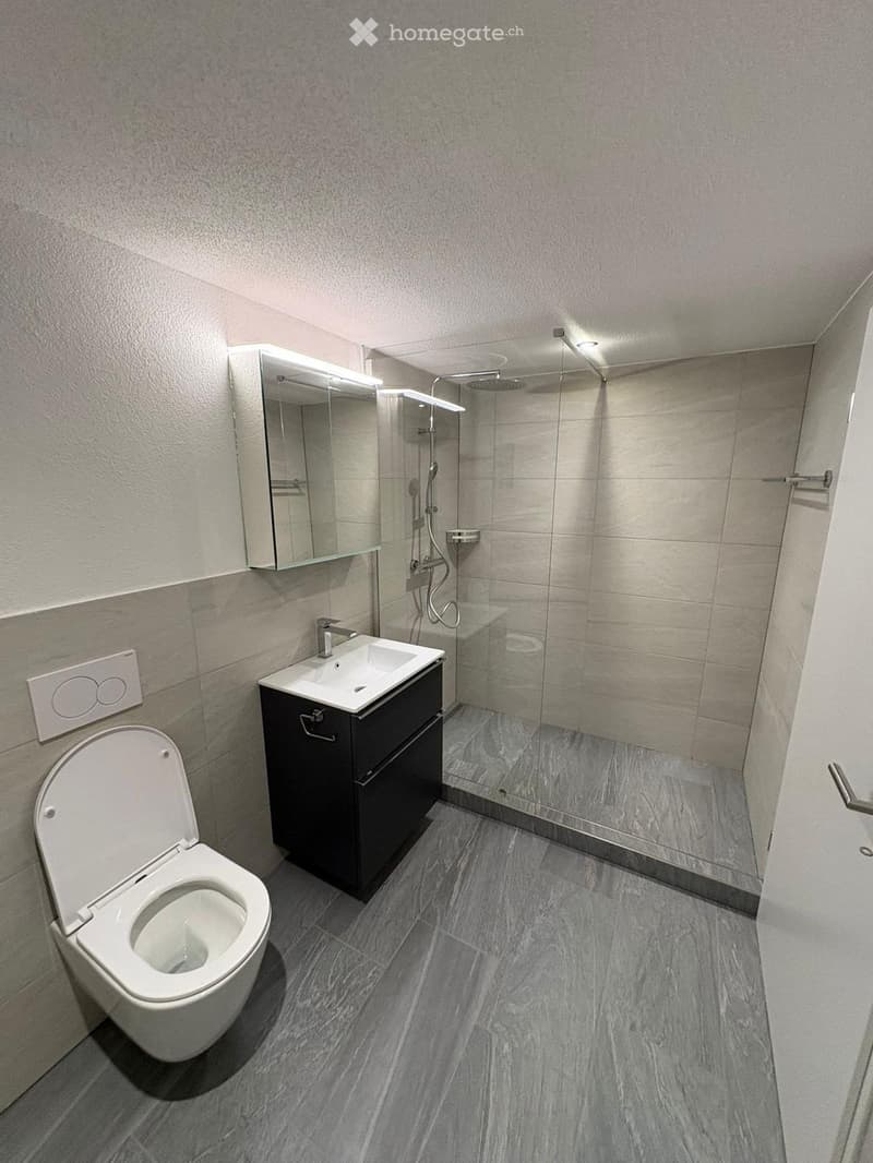 Modern bathroom with grey marble tiles, a white toilet, a black vanity with a sink, a large mirror, and a glass-enclosed shower with a modern showerhead.