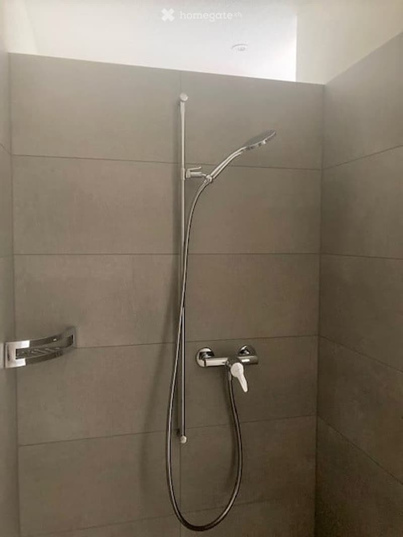 Modern shower area with grey tiled walls, a handheld showerhead, and a chrome rail.