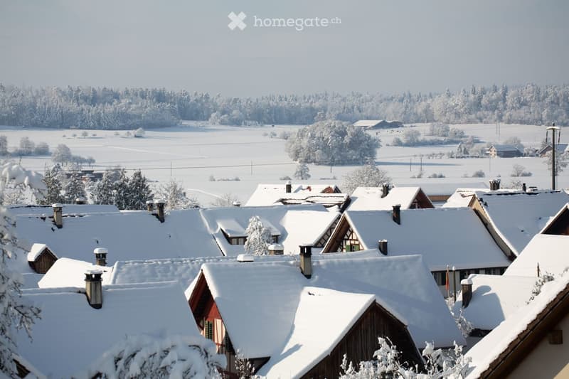 A village scene with snow-covered roofs and chimneys, surrounded by a snowy landscape and forest in the background.