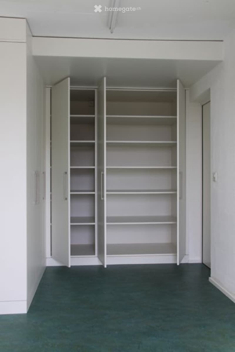 Empty room with white walls, dark green carpet, and built-in white shelving units with multiple open compartments.