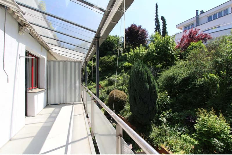 Balcony with a transparent roof, overlooking a lush garden with various trees and shrubs.