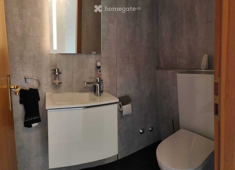 Modern bathroom with a white sink, chrome faucet, mirror, toilet, towel, and soap dispenser.