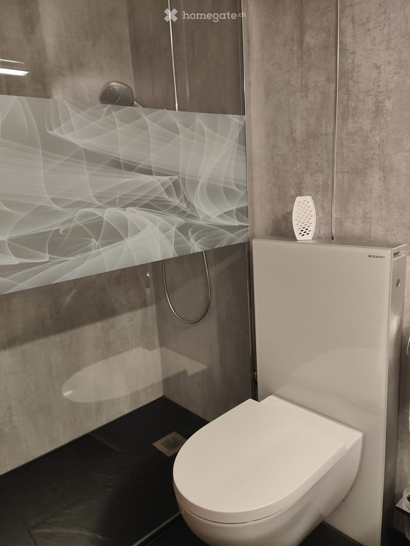 Modern bathroom with a white toilet, glass shower enclosure, and decorative mirror with abstract design.