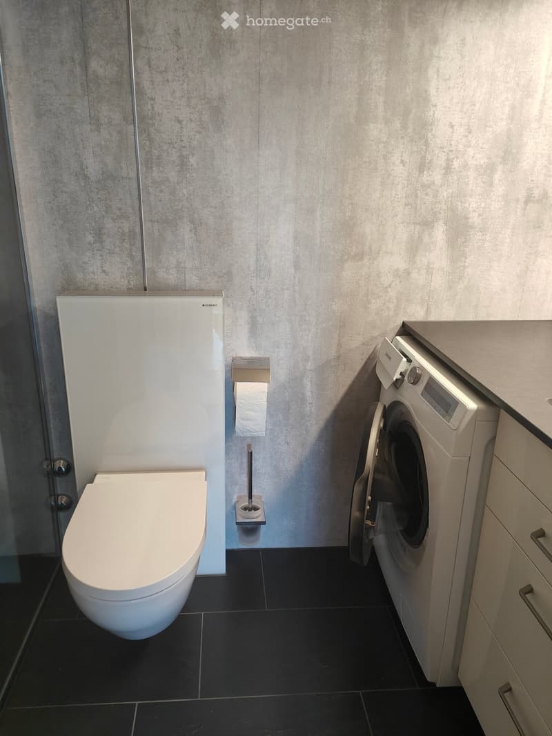 Modern bathroom with a toilet, washing machine, toilet paper holder, and toilet brush holder. The walls are covered in light grey tiles, and the floor is black.