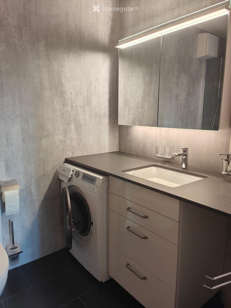 Modern bathroom with a sink, faucet, mirror, and a built-in washing machine. Features include a sleek countertop, storage cabinets, and a toilet.