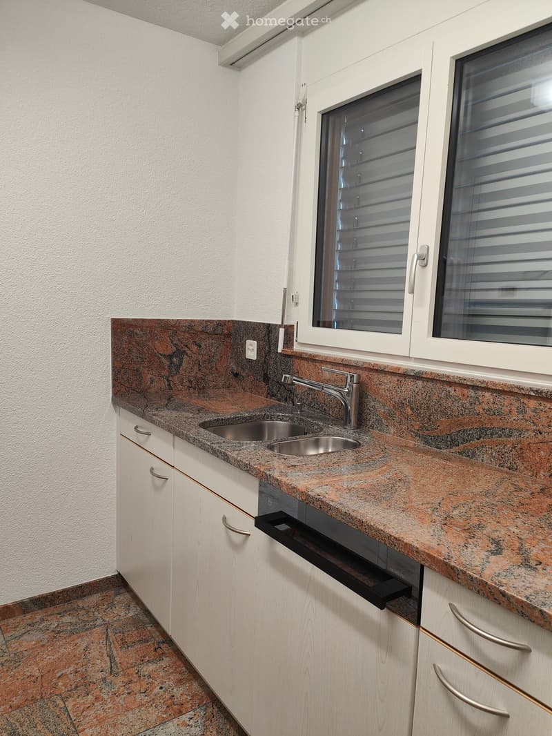 Modern kitchen with granite countertops, white cabinets, and a double sink.