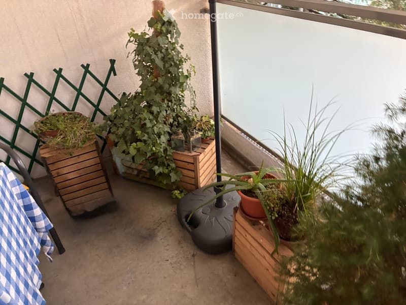 Balcony with wooden planters, potted plants, and a small table with a blue and white checkered tablecloth.
