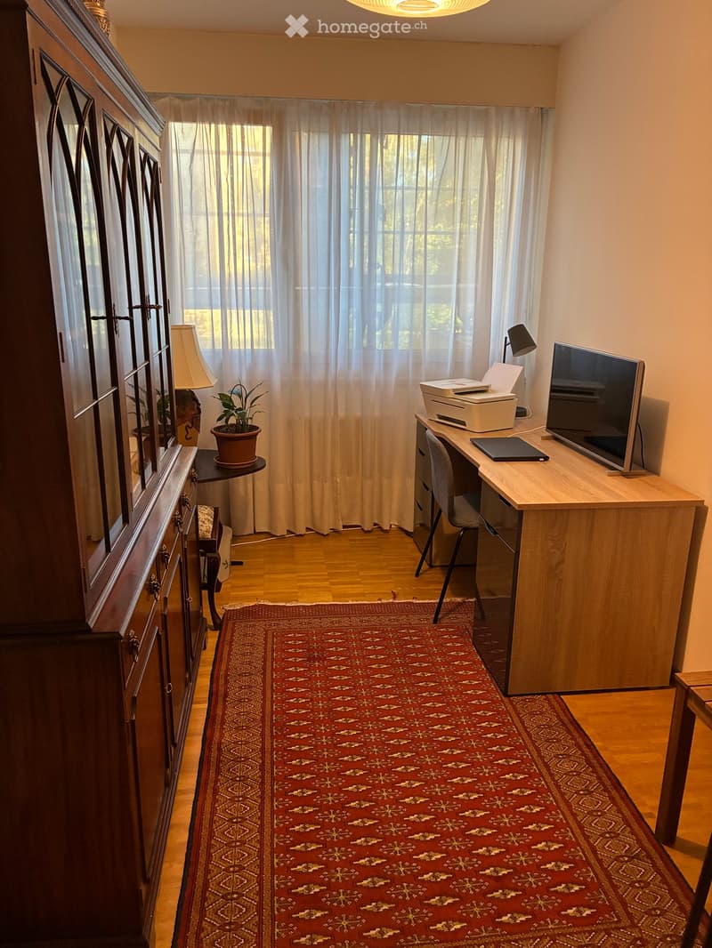 A well-lit room with wooden flooring, a large red patterned rug, a wooden desk with a chair, a screen, a printer, a lamp, a small table with a plant, and a tall cabinet with glass doors.
