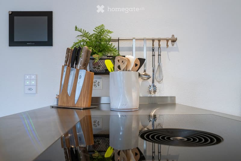 Modern kitchen with stainless steel countertops, knife block, utensil holder, potted plant, and wall-mounted utensils.