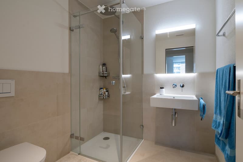Modern bathroom with a glass-enclosed shower, a white sink, a toilet, and a towel hanging on the door. The shower has a built-in shelf for toiletries.